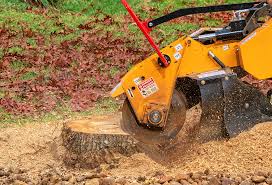 Organic Lawn Care Solutions in Calexico, CA