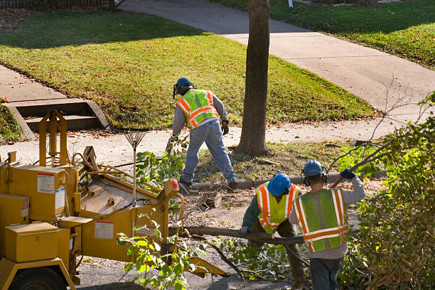 Best Aeration Services  in Lexico, CA