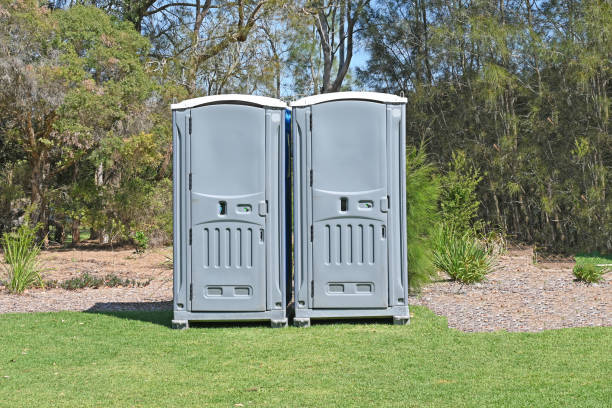 Best Lawn Pest Prevention  in Lexico, CA
