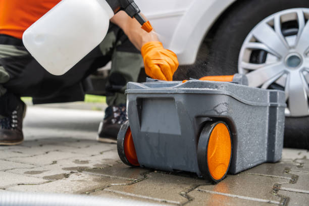 Best Lawn Disease Treatment  in Lexico, CA